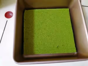 清新治癒系—芒果慕斯蛋糕