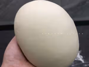 香菇糯米燒麥