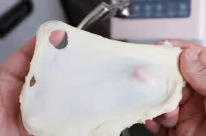 脆皮鹽麵包