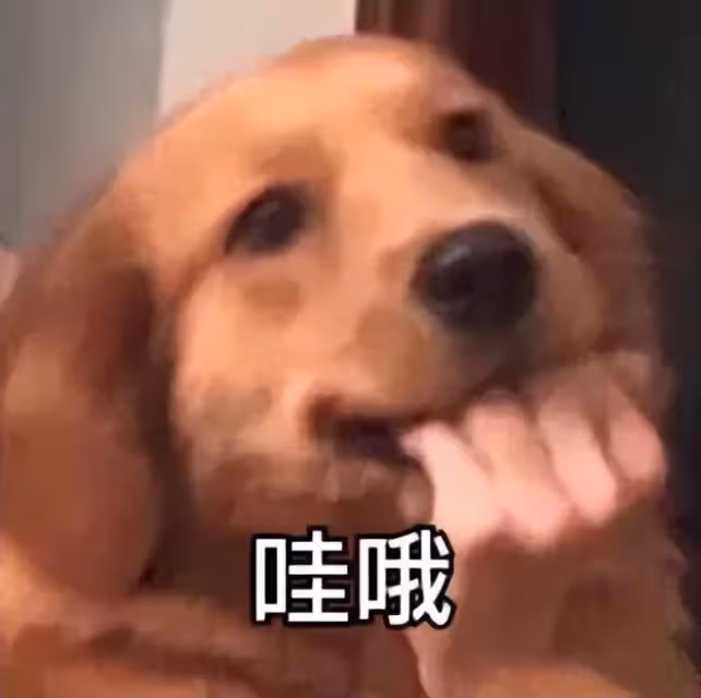 眾星高調出席時尚紅毯引爭議！該品牌曾陷抄襲風波，被批文化挪用