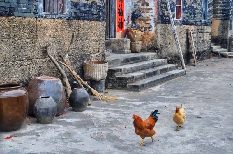 老人兩套房過戶給兒子，帶一套房產證到女兒家養老，女婿：釣魚嗎