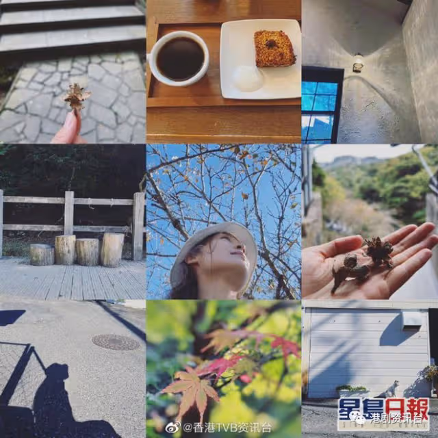 10位小生花旦缺席《2023年巡禮》！TVB視帝北上發展，視後玩消失