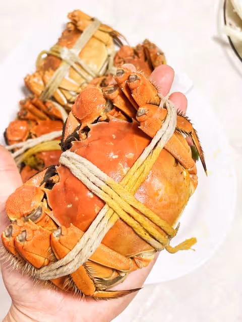 清蒸大閘蟹（一般人第一步就錯了）