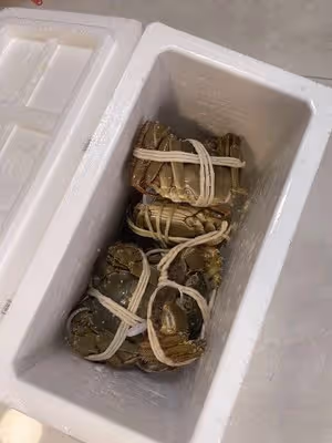 清蒸大閘蟹（一般人第一步就錯了）