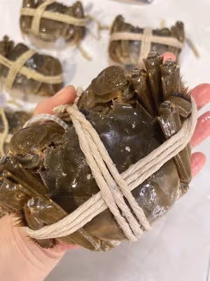 清蒸大閘蟹（一般人第一步就錯了）