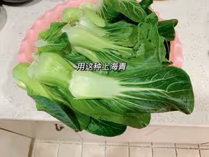 ♨️全麥香菇青菜包👏給肉都不換
