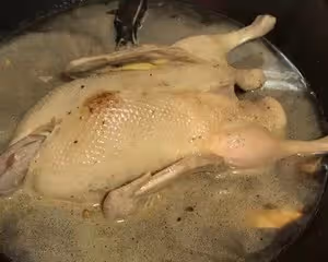 陳皮鴨