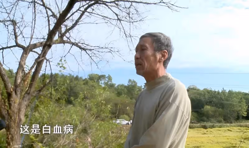 一日夫妻百日恩，失婚後妻子患重病，丈夫義無反顧帶錢求復婚，直言孩子不能沒有媽媽