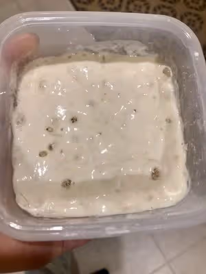 天然酵母喂養篇