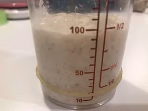 天然酵母喂養篇
