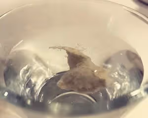 天然酵母喂養篇