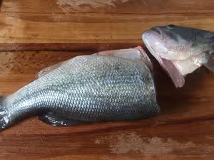 松鼠鱸魚