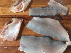 松鼠鱸魚