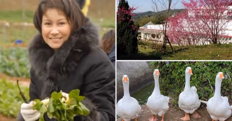 砸1個億當農婦！69歲甄妮曝「龍潭萬坪農場」養老生活：聞泥土味、養鵝鴨、卸華衣「巨星變農場主」笑得超開心