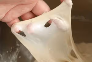 一份恰巴塔麵包製作筆記