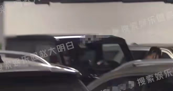 文章開豪車出行!14歲愛馬近一米七氣質絕佳,一旁短髮女似馬伊琍