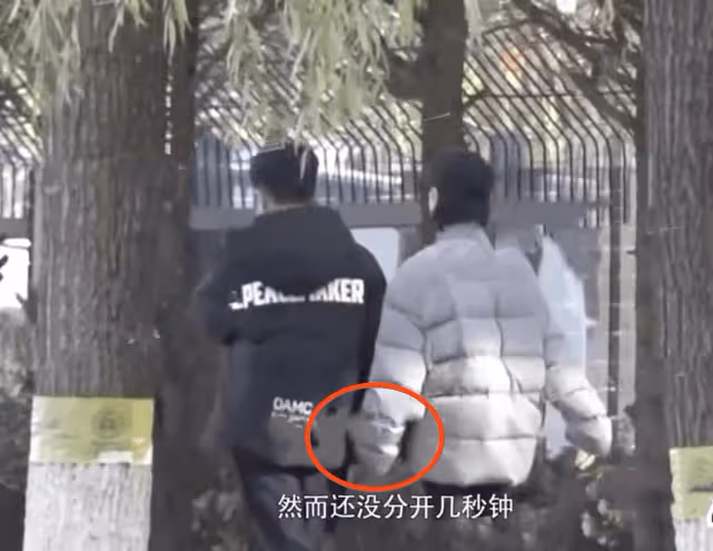 劉愷威李曉峰一起做核酸疑同居 牽手摟肩超親密