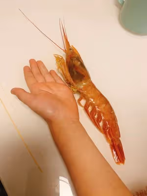 快手10分鐘芝士烤大蝦之阿根廷紅蝦