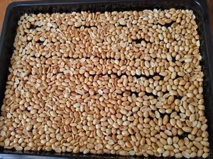花生醬(附破壁機快速清洗方法)