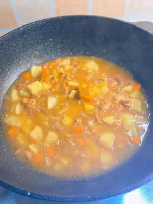 咖喱雞肉飯