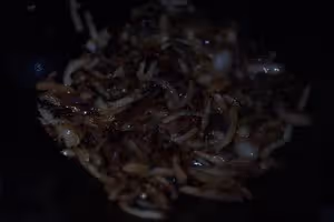 新疆黑抓飯