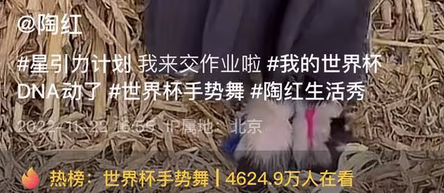 53歲陶紅現身農村,穿千元馬甲在草垛前扭腰熱舞,模樣大變認不出