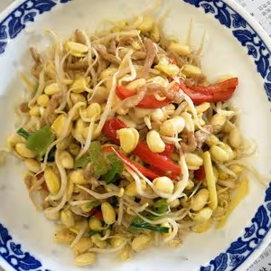 茶壺生黃豆芽