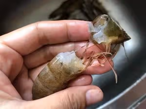 家常椒鹽蝦