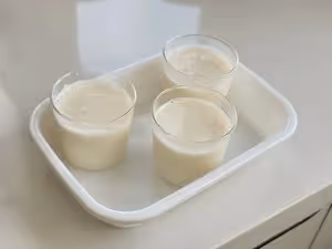 酒釀冰酥酪