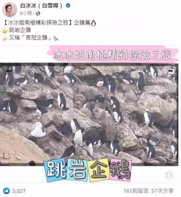 67歲白冰冰單身7年了，節目突停播開心出國，自曝「吃避孕藥」引熱議，嬌羞報喜：好事不說破