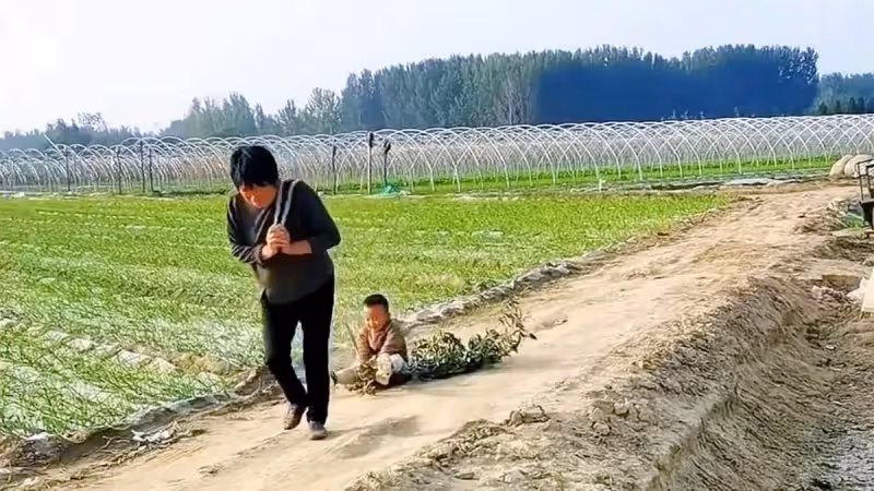 阿公阿婆「帶孫摘菜」突然找不到人,爺爺急瘋嗓子喊破 「翻開菜葉」樂翻,場面真是讓人哭笑不得