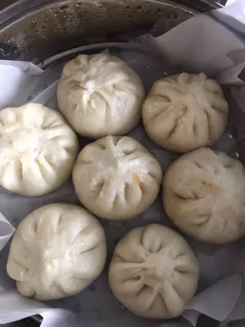 酸菜豬肉包子（新手發麵零失敗）