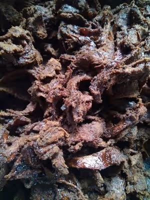 紅糖薑片