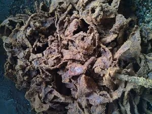 紅糖薑片