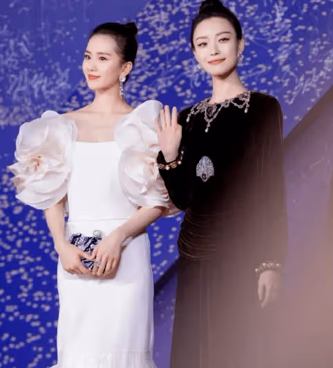 柳岩的胸 倪妮的肩頸 明星值得"百萬保險"的部位