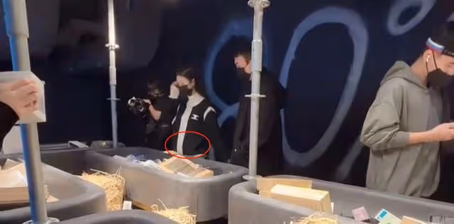 慎婕承認與王思聰分手！兩人相戀長達一年，男方新歡被拍疑似懷孕