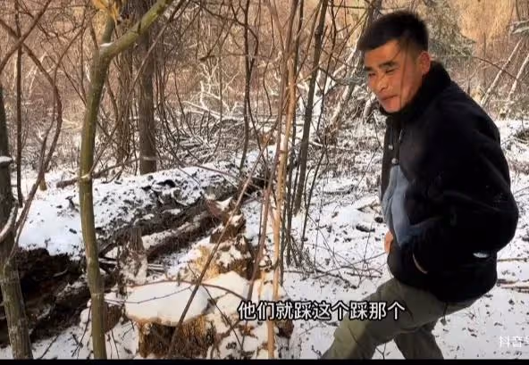 盧小開團隊二當家~林區彬彬