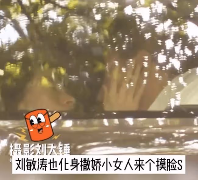 46歲劉敏濤被曝戀情後首更動態 優雅嫵媚又撩人