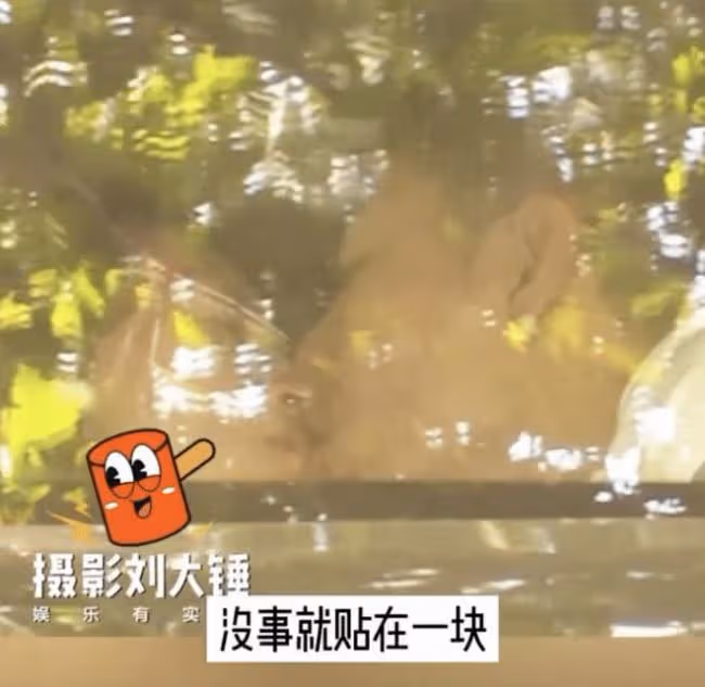 46歲劉敏濤被曝戀情後首更動態 優雅嫵媚又撩人