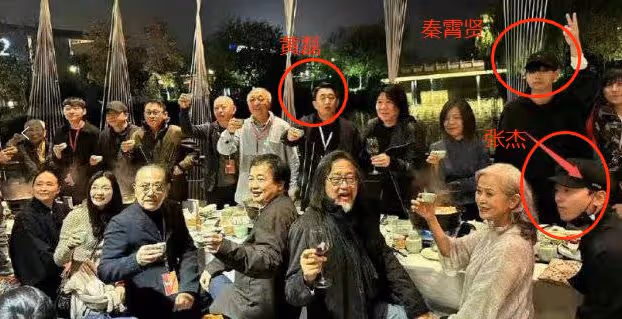眾星齊聚烏鎮戲劇節不戴口罩 梅婷憔悴童瑤發胖