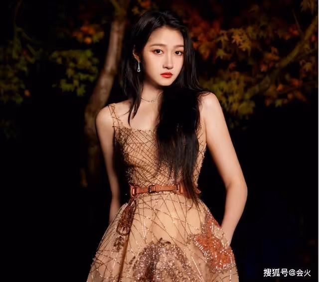 女星紅毯比美:baby薄紗露長腿 趙麗穎明艷動人