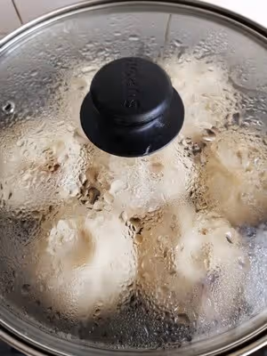 蘿蔔粉絲餡素包子