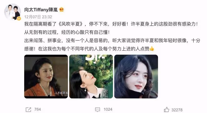向太追趙麗穎新劇，分享《風吹半夏》觀後感，感嘆經歷與女主很像