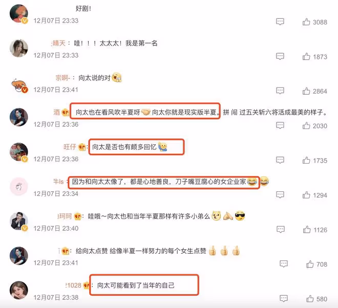 向太追趙麗穎新劇，分享《風吹半夏》觀後感，感嘆經歷與女主很像