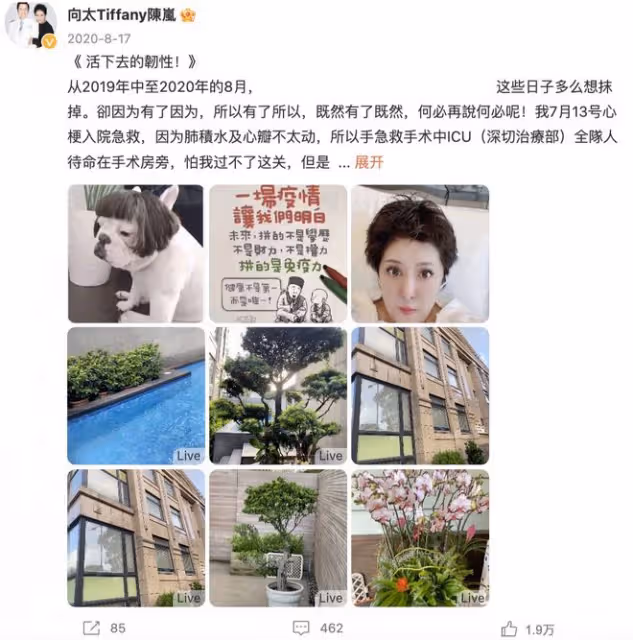 向太追趙麗穎新劇，分享《風吹半夏》觀後感，感嘆經歷與女主很像