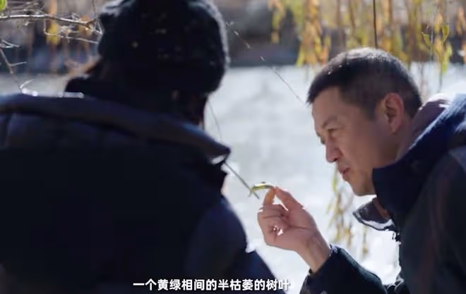 李亞鵬帶妻女感受大雪節氣，被贊有煙火氣，二胎正面出鏡白皙可人