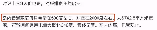 張蘭解釋大s天價電費由來，全家族電錶都接到她家，讓汪小菲繳費