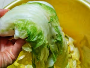 韓國姨母的辣白菜（最地道的泡菜方子）