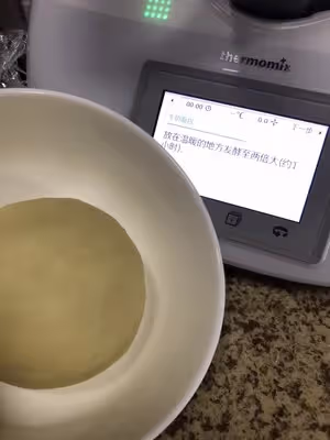 漢堡胚小美版