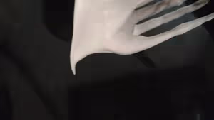 橙香紙杯蛋糕
